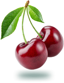 454 Two red cherries with green leaves.