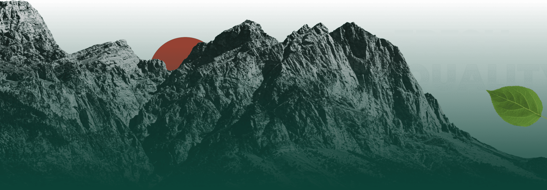 Frame 37 Mountain range with leaf and circle elements.