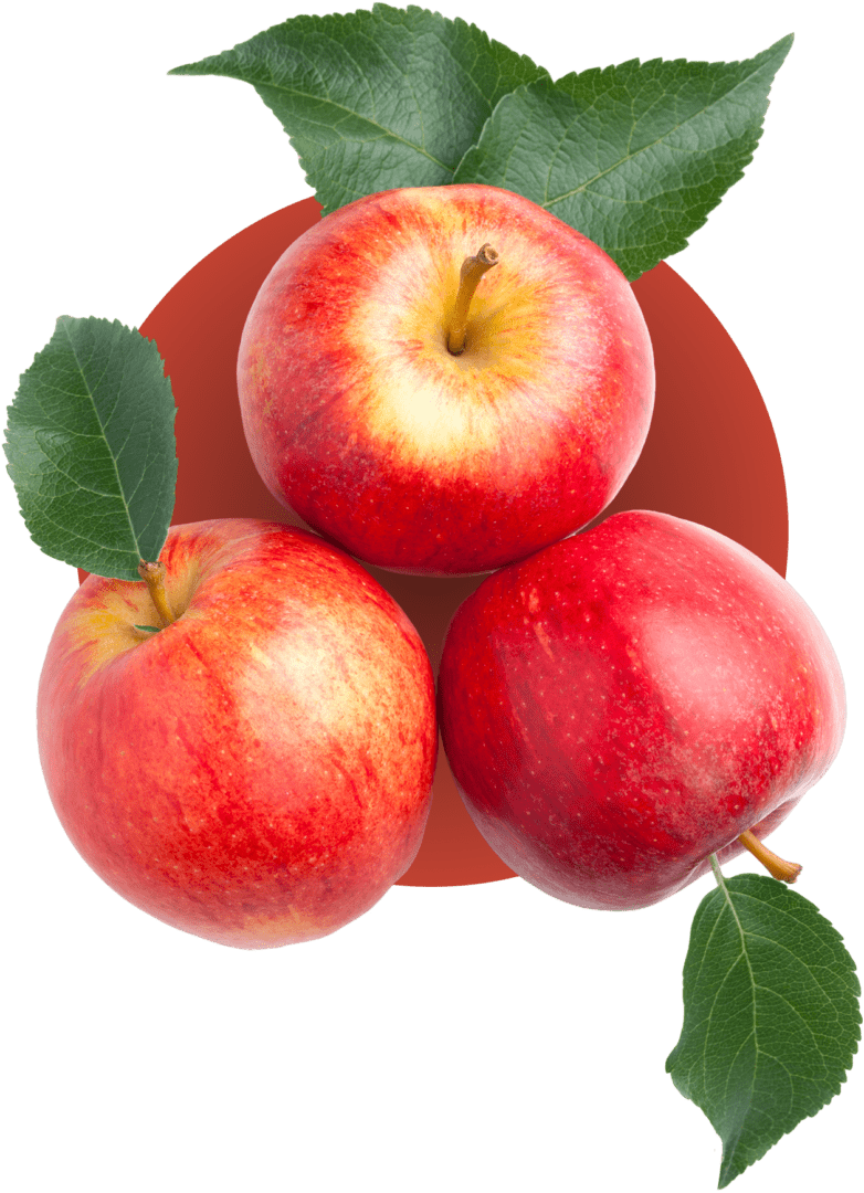 Group 4 Three red apples with green leaves.