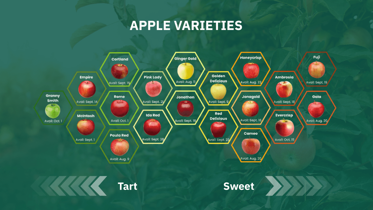 A green background with different types of apples.